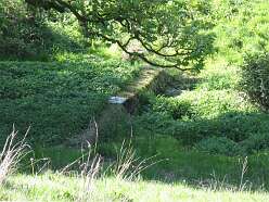 Ffynon Gwenlais<br>Ffynon Gwenlais