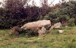 7 parc y llyn<br>7 parc y llyn

  

 Parc Y Llyn Burial Chamber