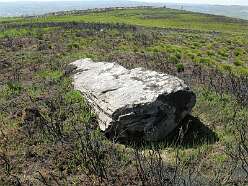 Penyrheolddu Standing Stone<br>Penyrheolddu Standing Stone