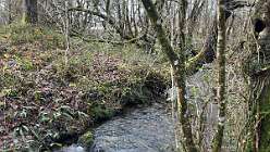 Cwmffrwd burnt mound<br>Cwmffrwd burnt mound

Primary Reference Number (PRN) : 7805

Trust : Dyfed

Community : Cwmamman

Unitary authority : Carmarthenshire

NGR : SN67711453

Site Type (preferred type first) : Prehistoric Burnt Mound

Status : NPBB



Summary :

A crescentic mound, adjacent to a stream, measuring 12.5m x 11m x 1.5m. It is a very fine example of a crescentic mound. Augering revealed dense burnt debris with little soil cover. JH based on GW 1995





Sources :

Griffiths, C , 2018 , The Archaeology of Bronze Age settlements in South Wales ( © )

Anwyl,E , 1907 , Arch.Camb ,

Cantrill,TC , 1906 , Arch.Camb ,

OS , 1977 ,

Rogers,J , 1977 ,

Williams,GH , 1994 ,

Williams,GH , 1995 , BM4.DBF ,



Events :

70582 : CWM-FFRWD;CWMFFRWD, FIELD OBSERVATION, 1994 (year : 1994)



Related records



Compiled date : 01-01-1950