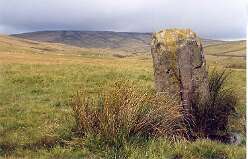 Maen Mawr row<br>Maen Mawr row

  

  Maen Mawr Row