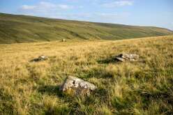 Cerrig Duon compass stones<br>Cerrig Duon Compass stones

  

  Cerrig Duon Compass Stones