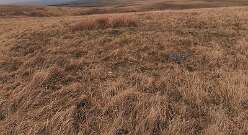 Cwmothlwn Barrow<br>Cwmothlwn Barrow

  

  Cwmothlwn Barrow