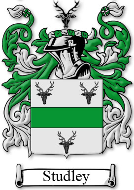 A green and white coat of arms
Description automatically generated