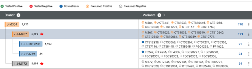 A screenshot of a computer
Description automatically generated