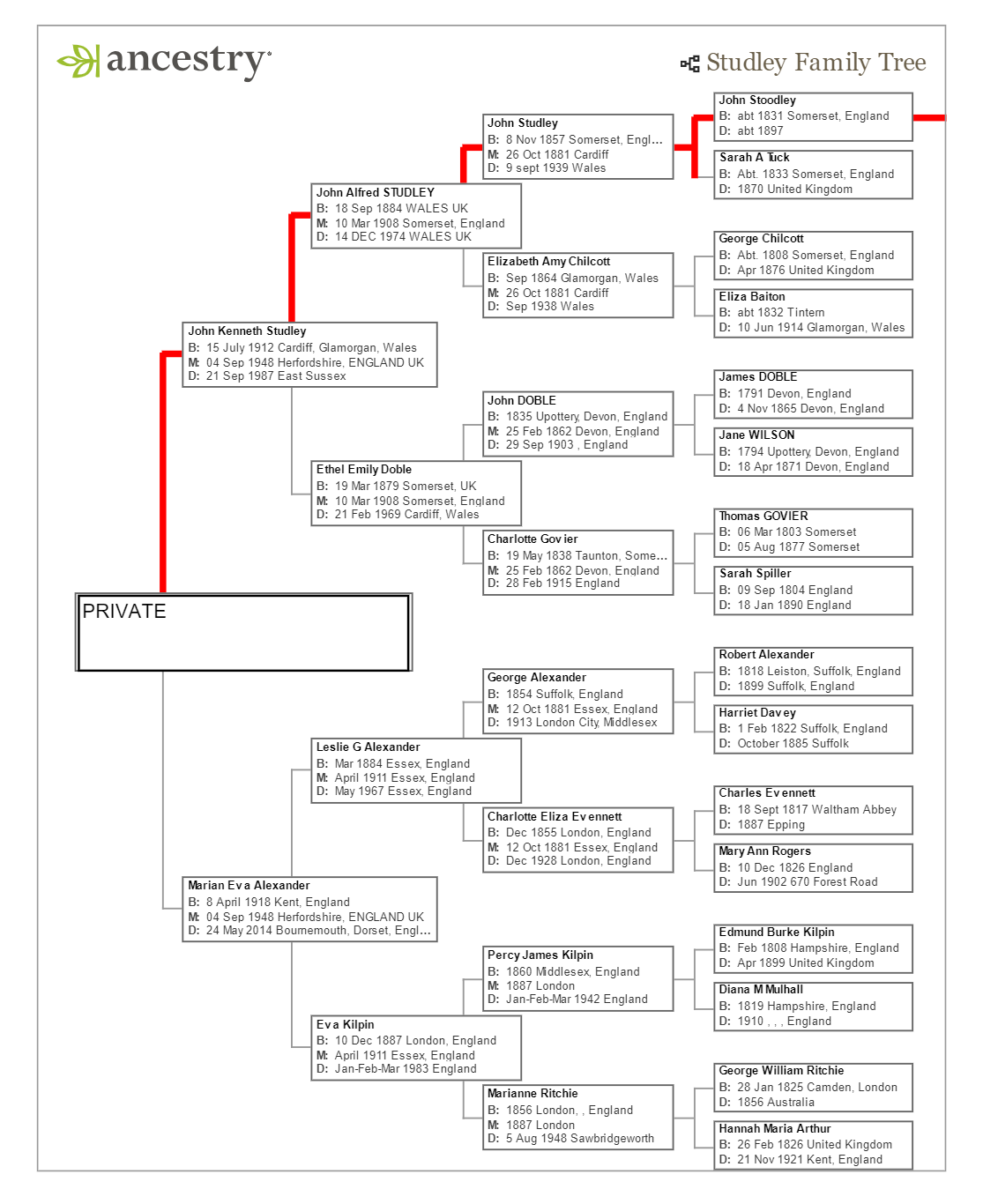 A diagram of a company
Description automatically generated